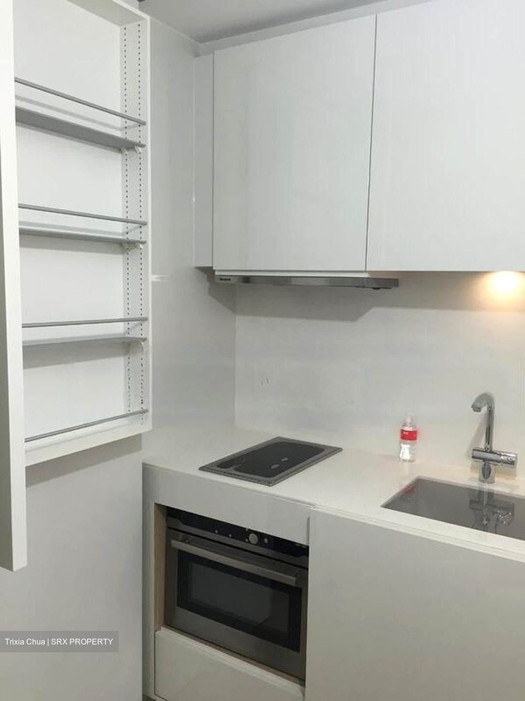 Skysuites@Anson (D2), Apartment #460545851